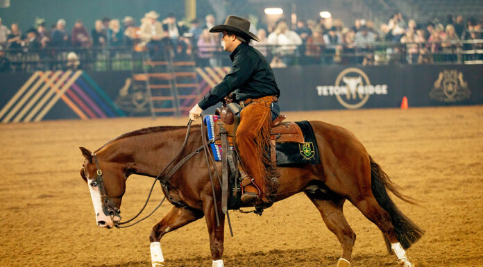 Casey Deary and Down Right Amazing win the reining in the first-ever The American Performance Horseman at Globe Life Field