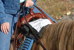 Cashel Trail Kit Pack - Trail Tack and Gear