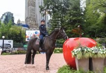 Charlotte Dujardin at Central Park
