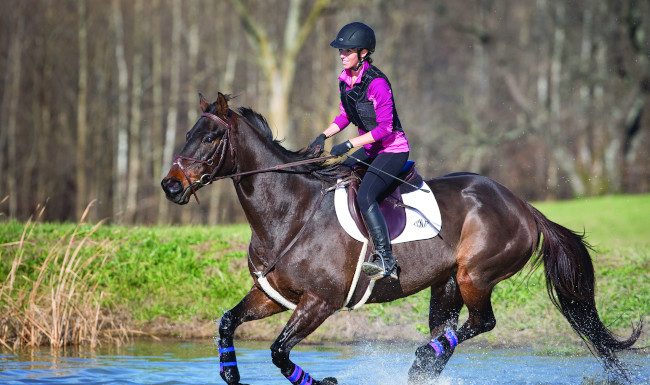 Horse rider at water obstacle.