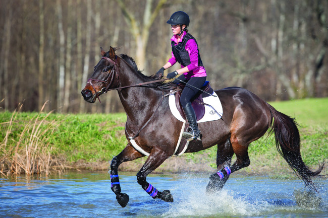 Horse rider at water obstacle.