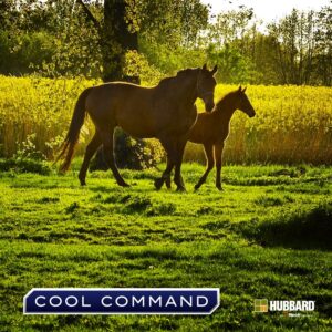 Winter hay to spring grass: Tips for a smooth transition