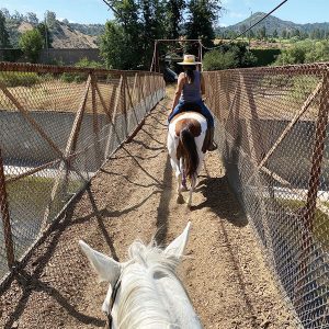 Crossing L.A. river on horseback. 