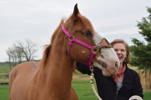 Reunited: A Second Chance at First Love