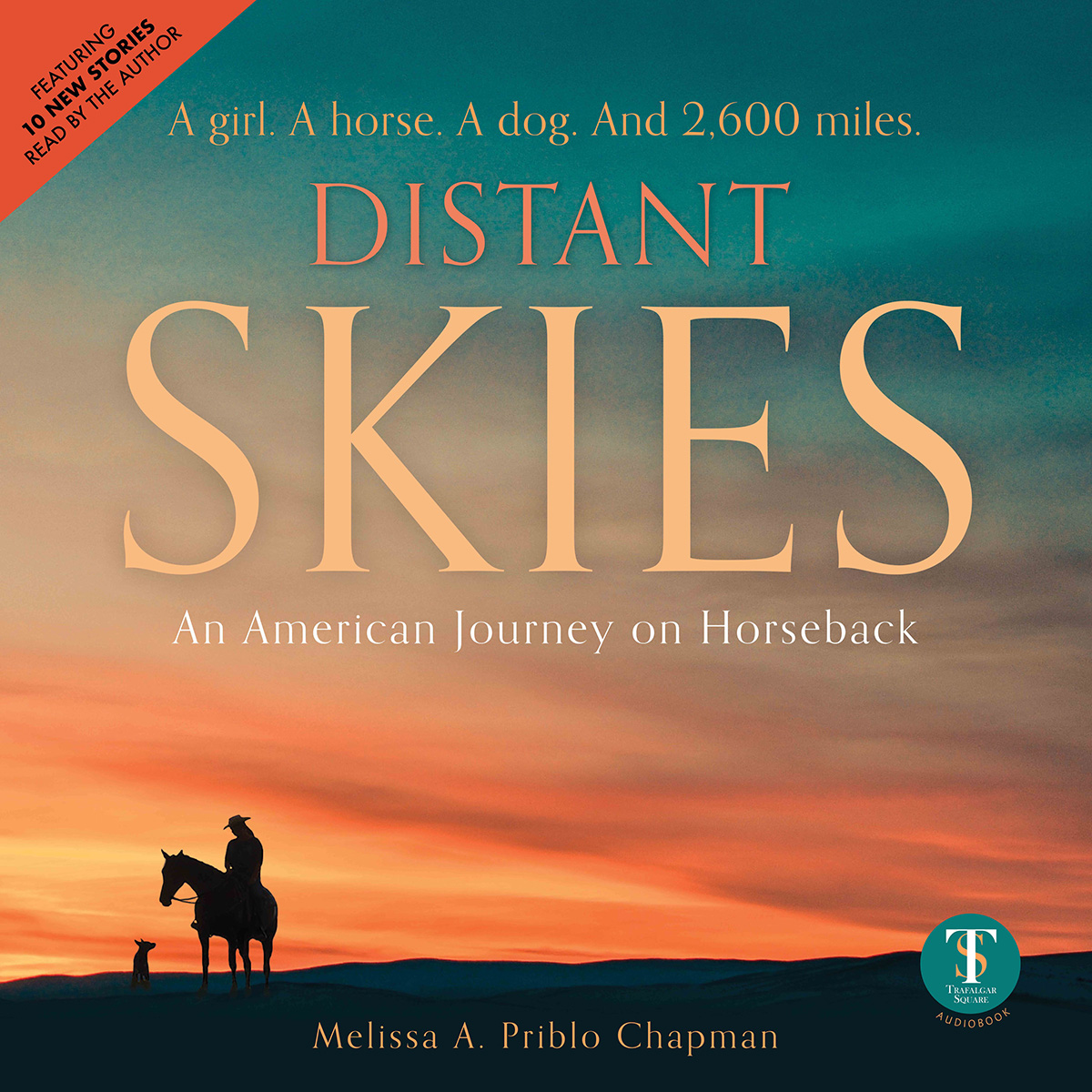 The Distant Skies audiobook cover.