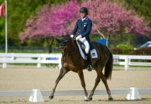 doug payne starr witness