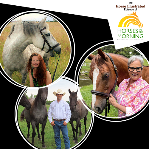 Podcast Episode #11: Sports psychology for riders, clinician and liberty trainer, and clicker training for March 22, 2022 from Title Sponsor Straight Arrow Products