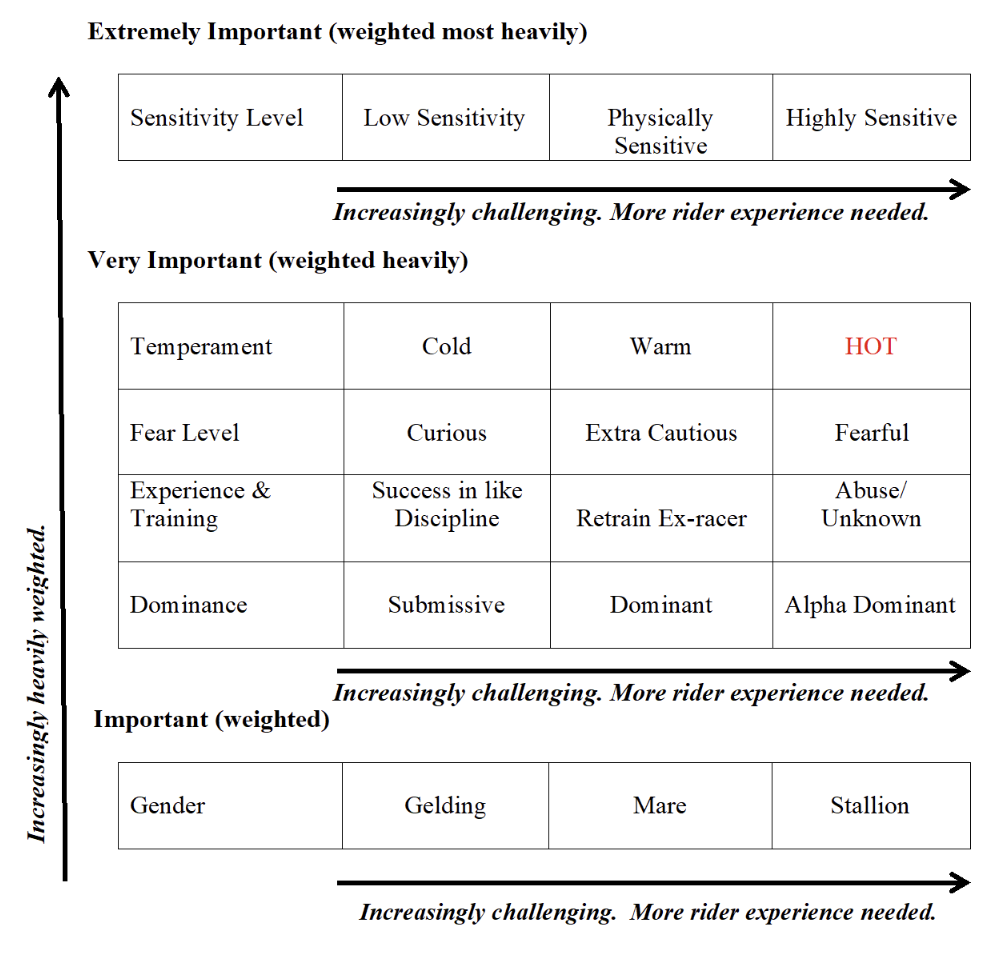 The Equine Challenge Assessment Tool.