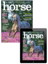 horse illustrated – march 2024 combo