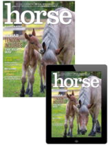 horse illustrated – april 2024 combo