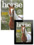 horse illustrated – may 2024 combo
