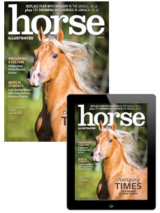horse illustrated – june 2024 combo