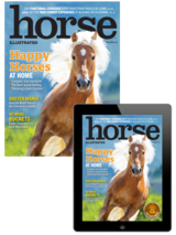 horse illustrated print +digital september issue