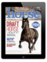 the horse illustrated november/december 2024 digital issue cover