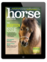 the horse illustrated january/february 2025 digital cover
