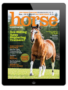the horse illustrated march/april 2025 digital issue cover