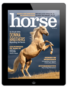 may/june 2025 digital cover of horse illustrated