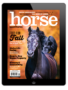 The Horse Illustrated September/October 2025 digital issue.