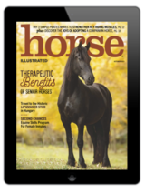 Horse Illustrated – October 2023 Digital
