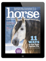 The Horse Illustrated November/December 2023 digital cover