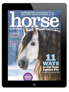 The Horse Illustrated November/December 2023 digital cover