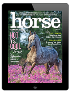 March 2024 Horse Illustrated digital cover