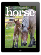 The Horse Illustrated April 2024 digital cover
