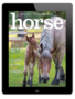 horse illustrated – april 2024 digital
