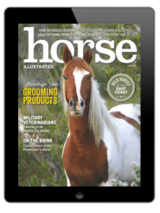 May 2024 Horse Illustrated digital cover