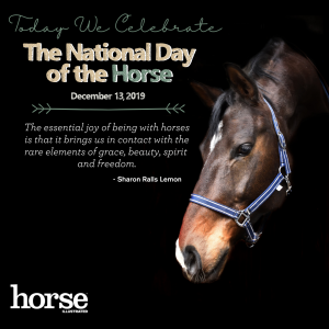 National Day of the Horse Celebrates 15 Years on December 13, 2019