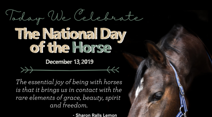 National Day of the Horse