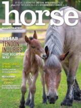 Horse Illustrated – April 2024