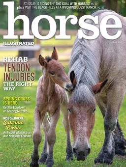 Horse Illustrated April 2024 cover