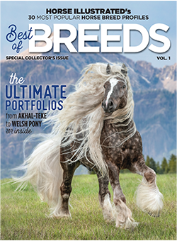 Horse Illustrated Best of Breeds