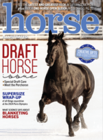 the horse illustrated november/december 2024 cover
