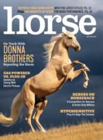 the may/june 2025 cover of horse illustrated