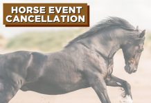 Horse Event Cancellation for Coronavirus