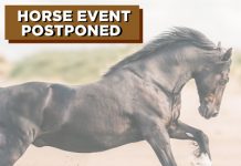Horse Event Postponement Coronavirus