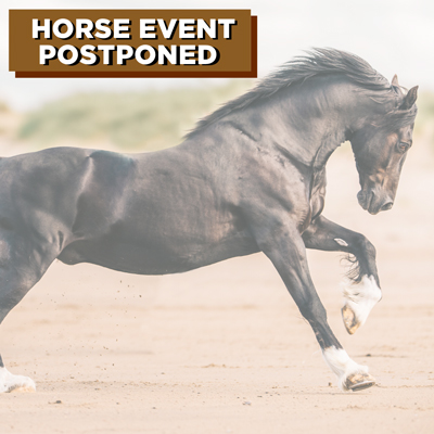 National Reining Horse Association Recommends Postponement of Events Due to Coronavirus (COVID-19); Closes Offices and Staff Working Remotely