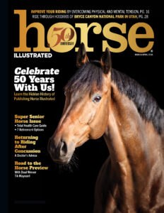 Horse Illustrated Print Subscriptions