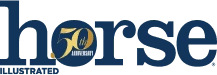 Horse Illustrated Logo