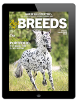 Order Best of Breeds Vol. 4 Digital