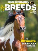 Reserve Your Copy: Best of Breeds Vol. 6