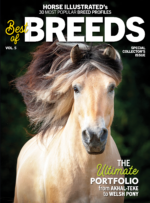 best of breeds vol. 5