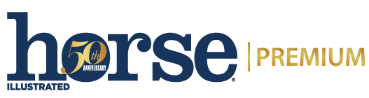 Horse Illustrated Logo