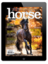 horse illustrated october 2024 digital cover