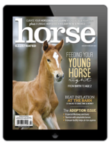 Horse Illustrated – January/February 2023 Digital