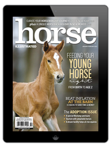 Horse Illustrated January/February 2023 cover with young horse.