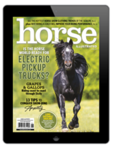 Horse Illustrated – June 2023 Digital