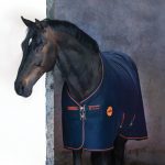 Horseware Ireland Rambo Ionic Collection